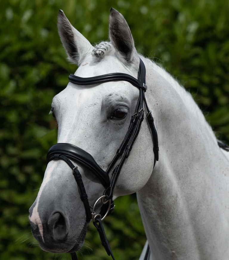 Premier Equine Rizzo Bridle Black