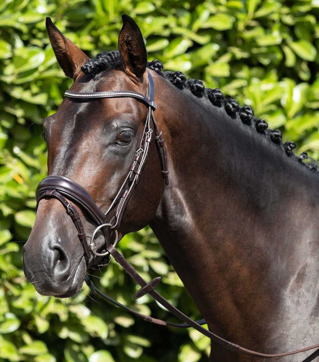 Premier Equine Stellazio Snaffle Bridle Cob Dark Brown