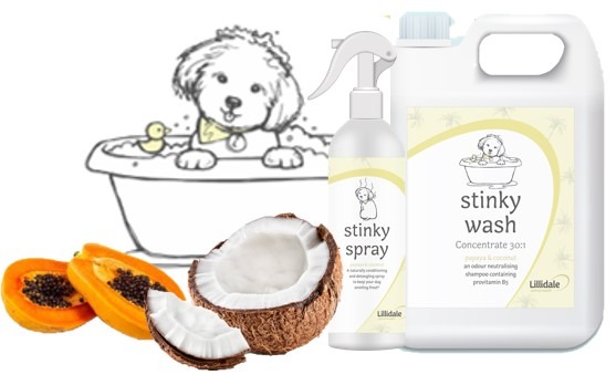 Vetpro Stinky Dog Wash 250ml