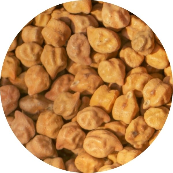 EF Black Chickpeas 3013