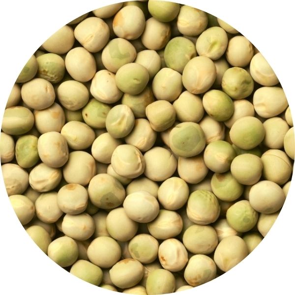 EF Green Peas 3002