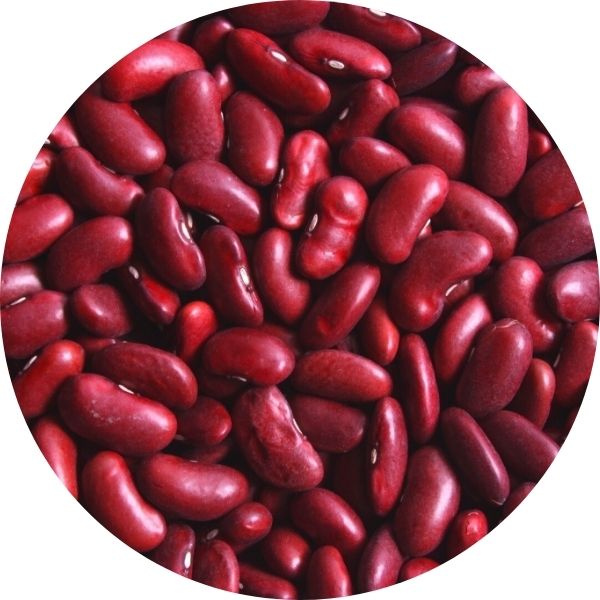 EF Red Kidney Beans (Rajma) 3009