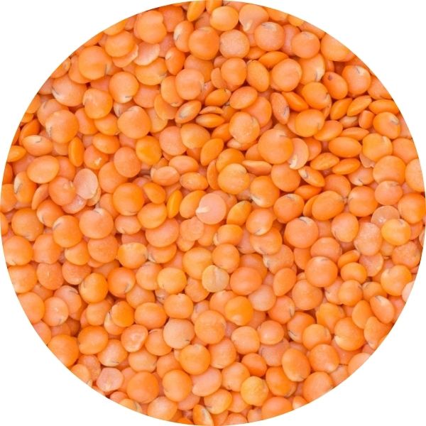 EF Red Split Lentils (MASOOR DAL) 3011