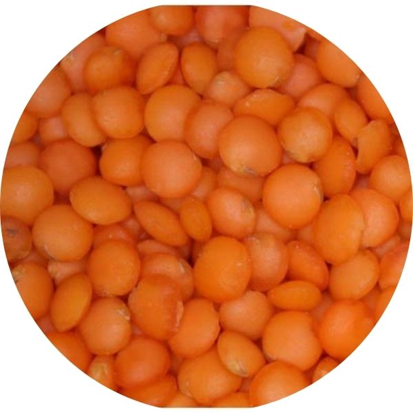 EF Red Whole Lentils (MASOOR WHOLE) 3017