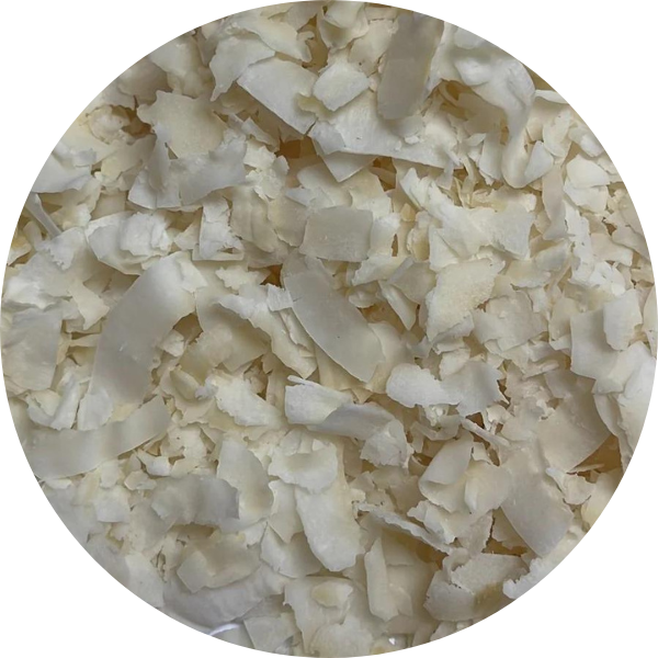 EF Coconut Chips Organics 9020