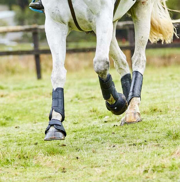 Weatherbeeta Bell Boots Black - Warmblood