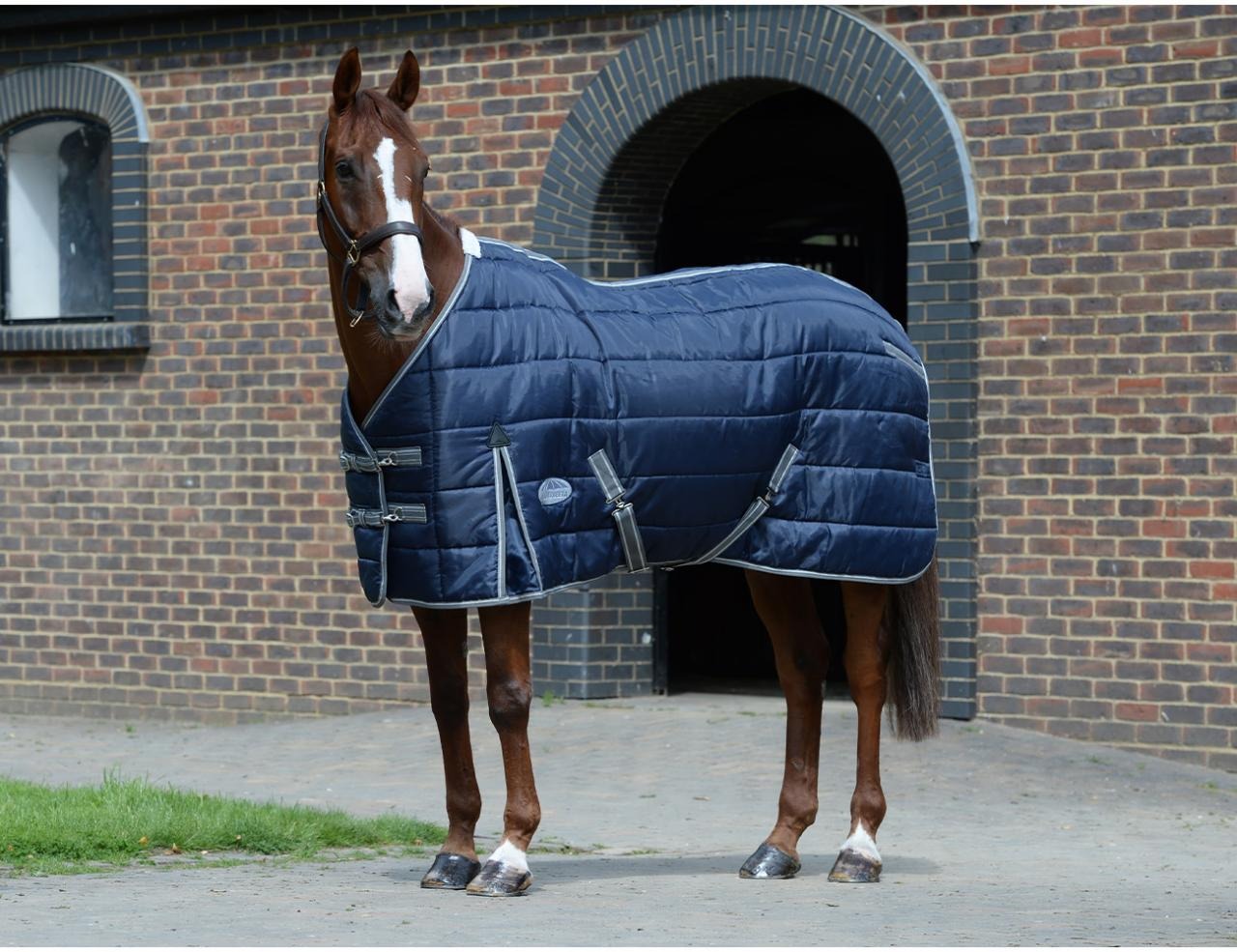 Weatherbeeta Channel Quilt Std Neck 5'3"