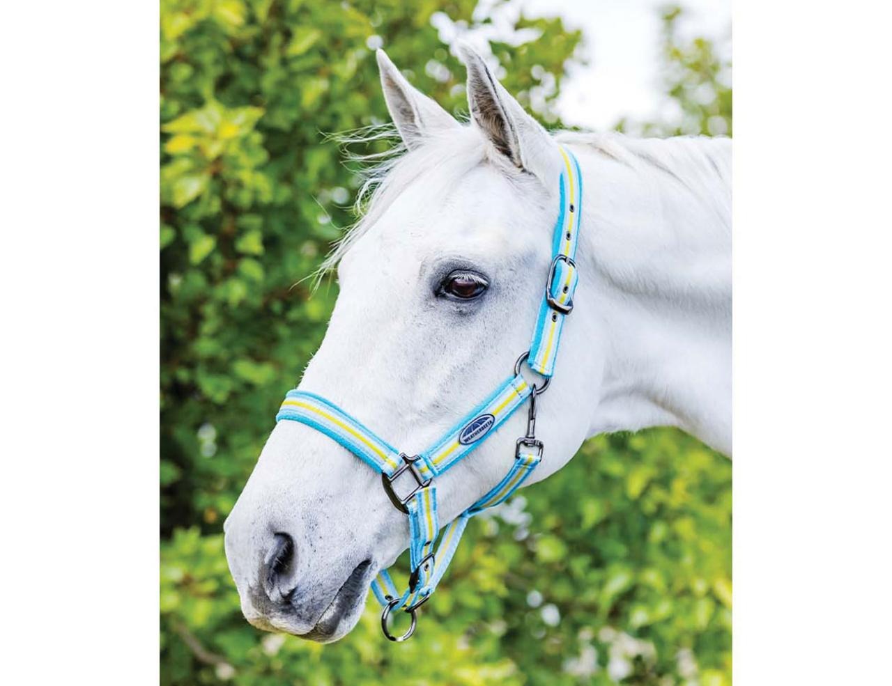 Weatherbeeta Coordinate Halter - Blue/Yellow Pony