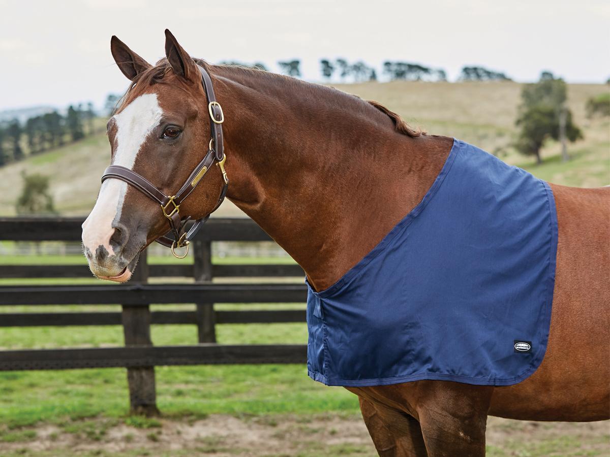 Weatherbeeta Cotton Shoulder Guard - Warmblood