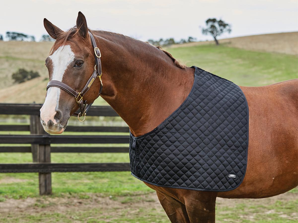 Weatherbeeta Deluxe Shoulder Guard - Warmblood