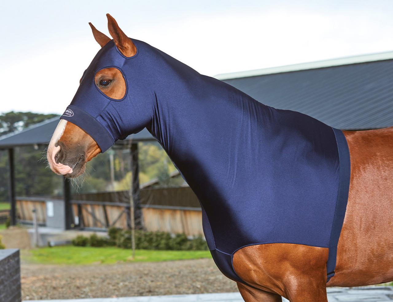 Weatherbeeta Deluxe Stretch Hood - Pony