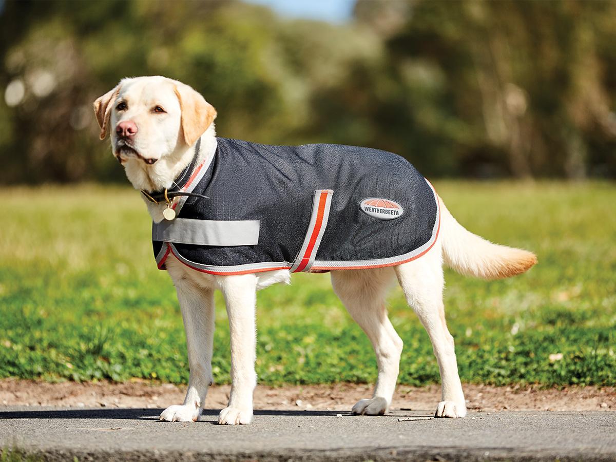 Weatherbeeta Dog Coat Therapy Tech  Black/Silver/Red - 55cm