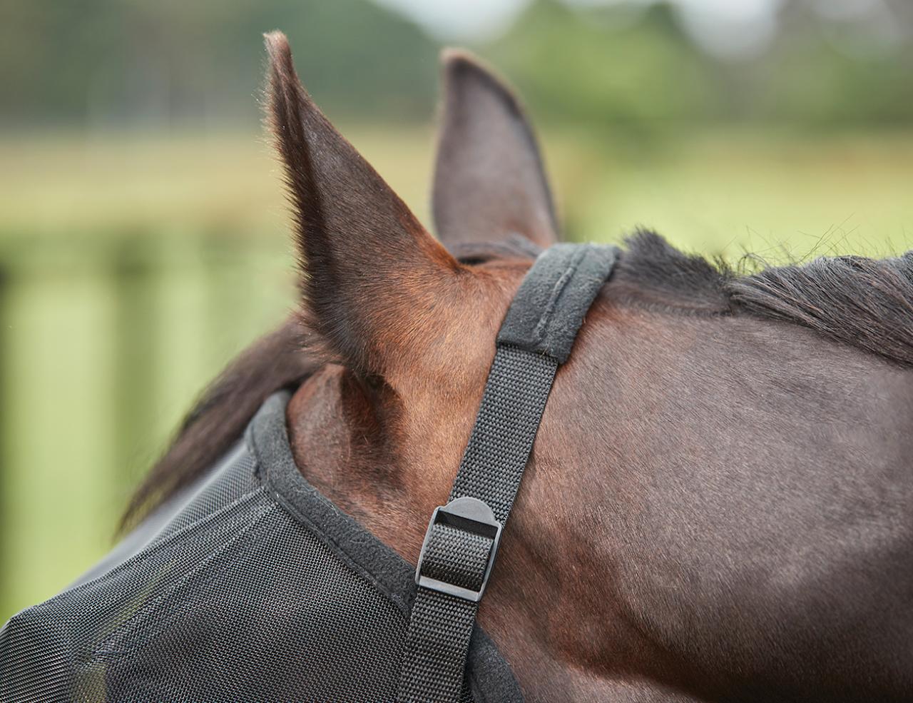 Weatherbeeta Double Dart Deluxe Fly Mask - Cob