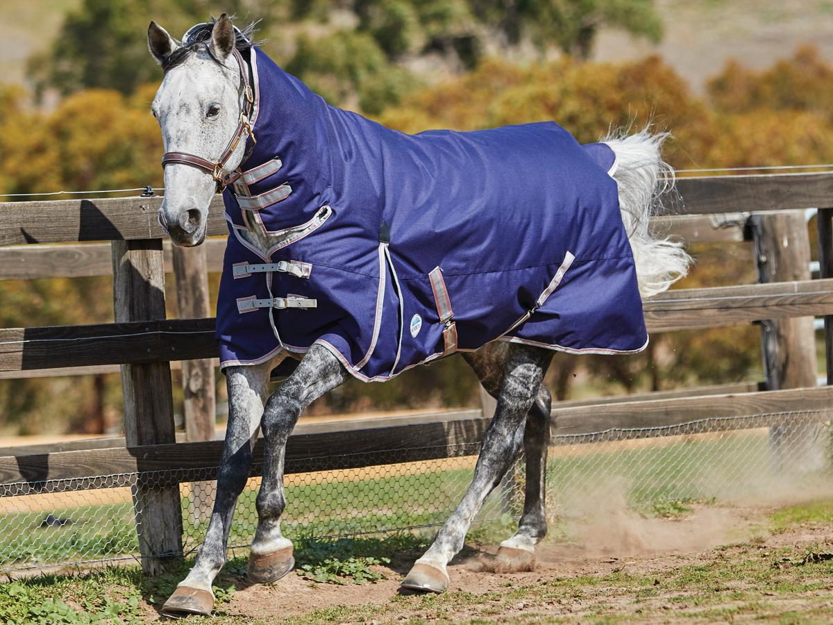 Weatherbeeta Rug Comfitech Essential Combo Medium Wide Navy/Silver/Red - 4'6