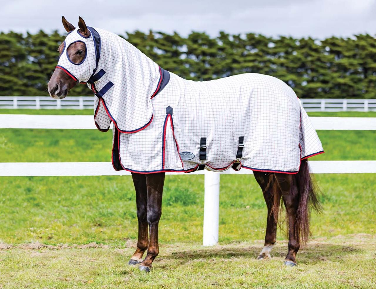 Weatherbeeta Summer Sheet Lite Stretched Hooded Combo White/Red/Navy - 4'6