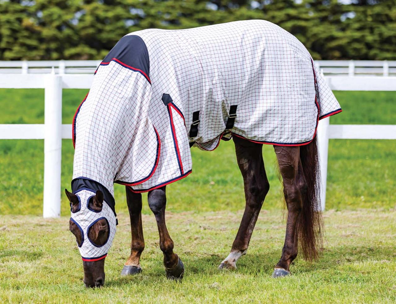 Weatherbeeta Summer Sheet Lite Stretched Hooded Combo White/Red/Navy - 4'6