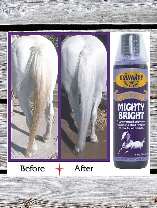 Equinade Show Silk Mighty Bright 125ml