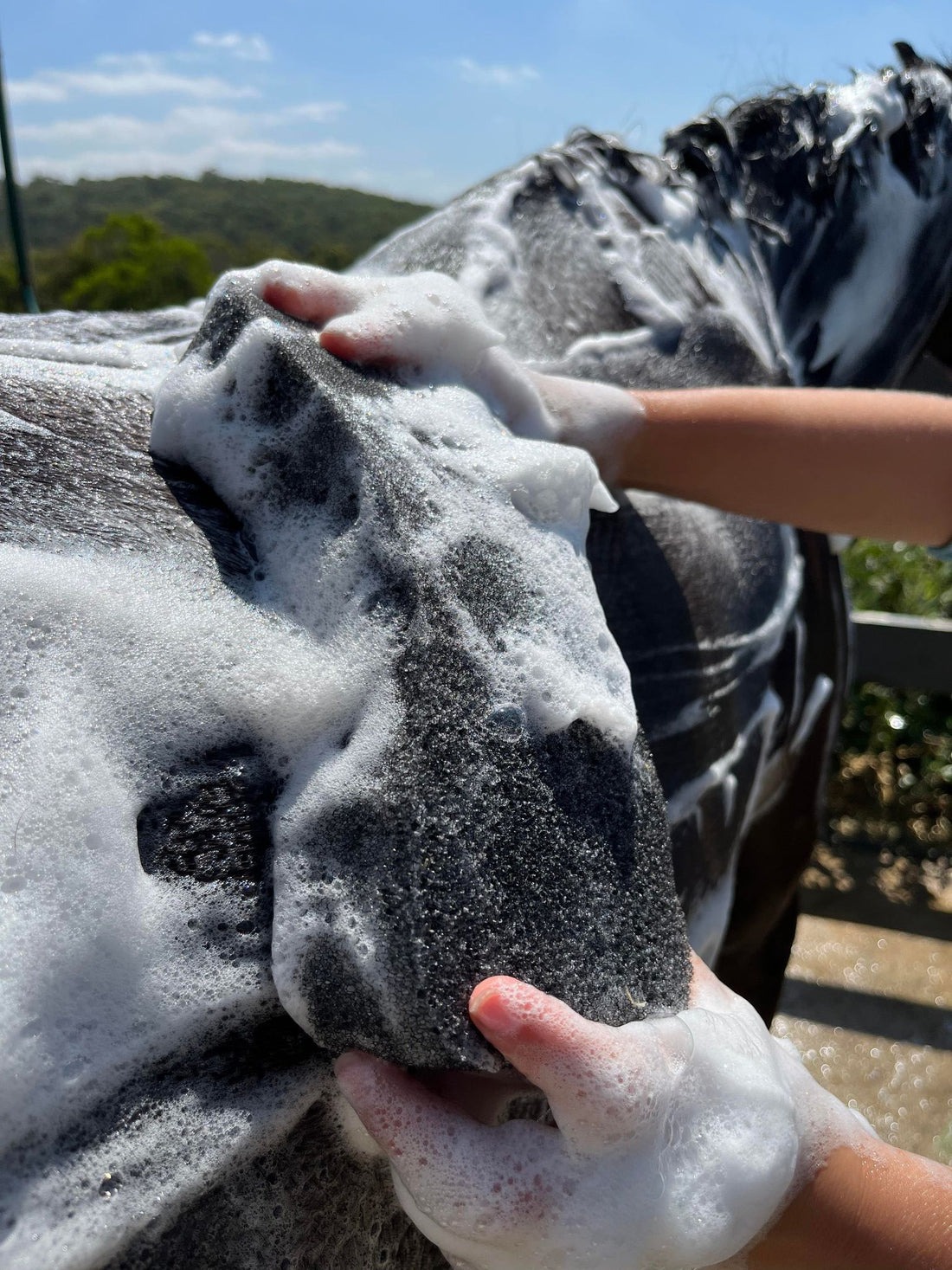 Hairy Pony Compressed Scrubbing Sponge