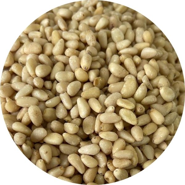 EF Pine Nuts 12014