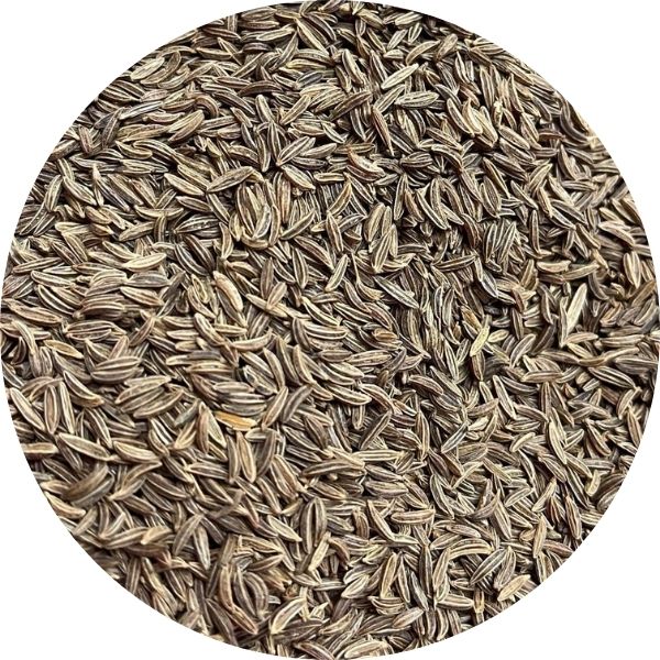 EF Caraway Seeds 1006