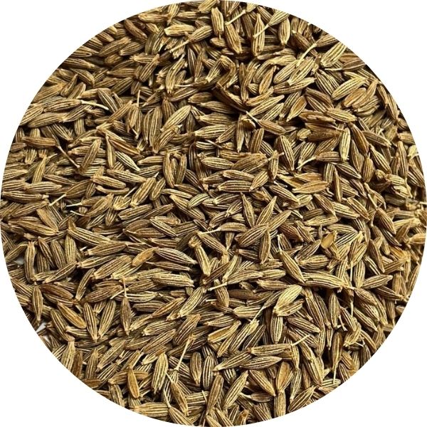 EF Cumin Seeds 1030