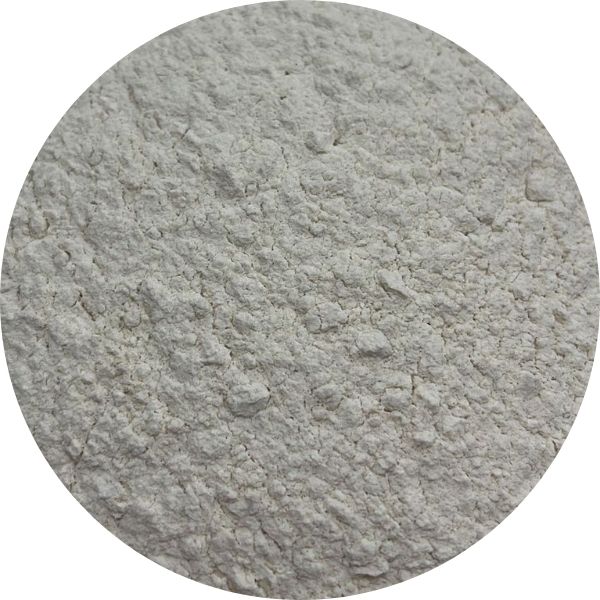 Ef Garlic Powder 1040