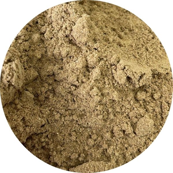 EF Ground Coriander 1028