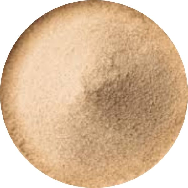 EF Mango Powder (amchur) 1004