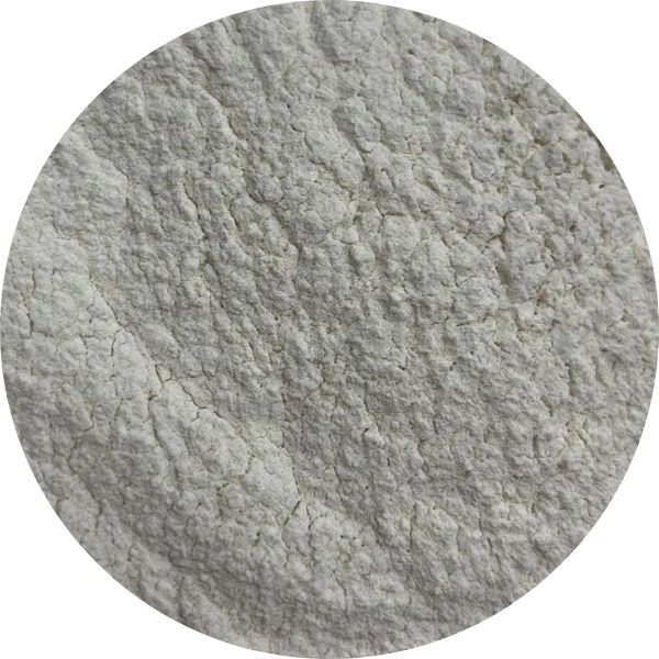 EF Onion Powder 1041