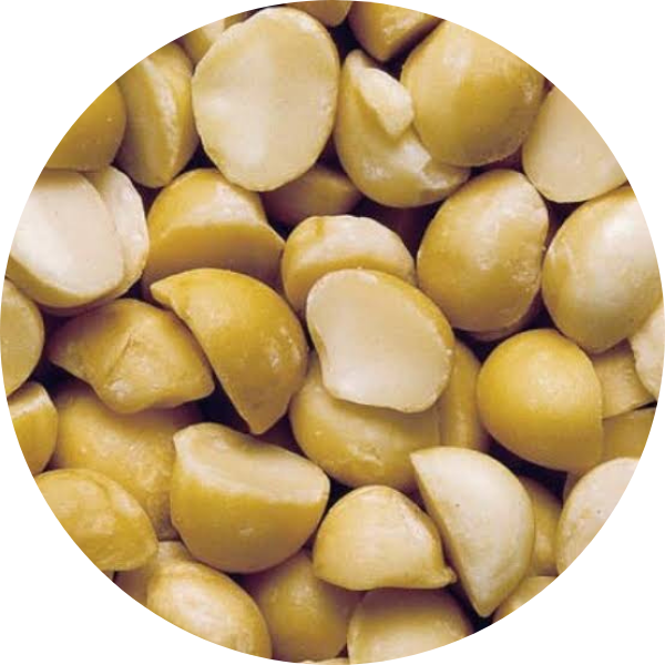 EF Macadamia Halves 12004