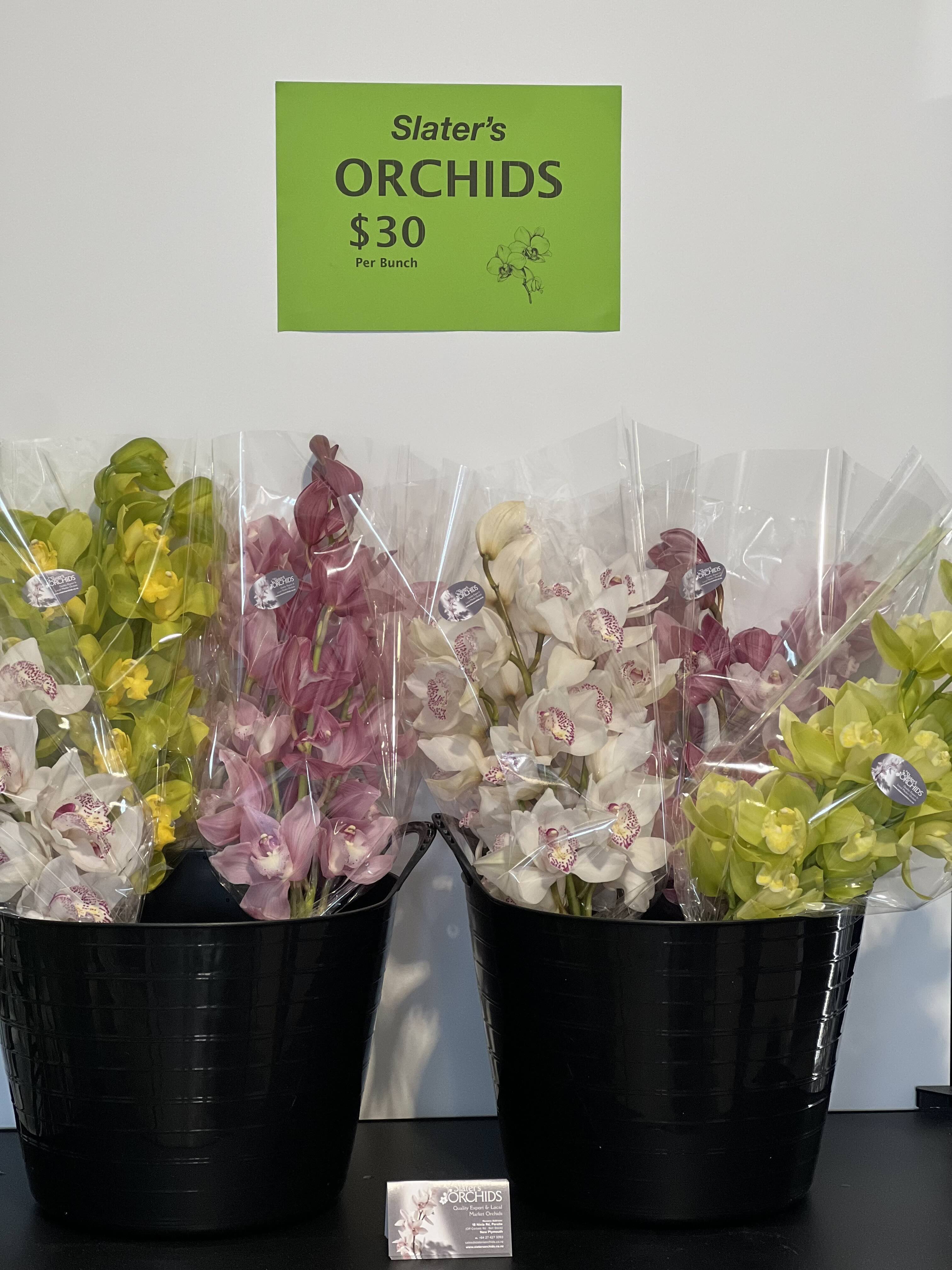 Slaters ORCHIDS