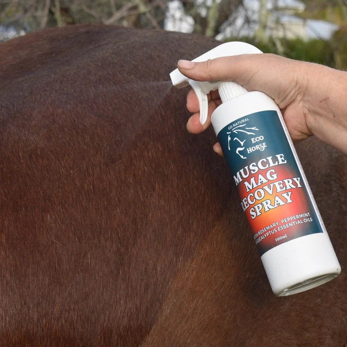 Eco Horse Muscle Mag Recovery Spray 500ml