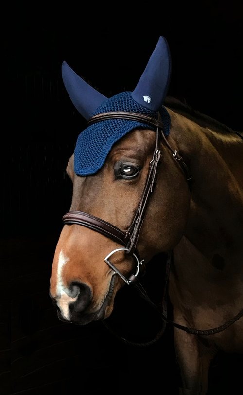 Plughz Sound Off Ear Bonnet Horse - Navy