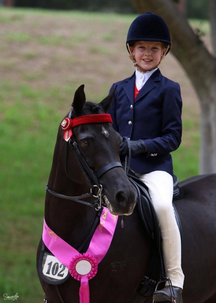 LP Design Show Jacket Child Navy - Size 8