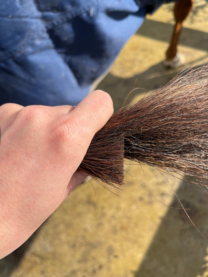 Hairy Pony Tail Trimming Scissors