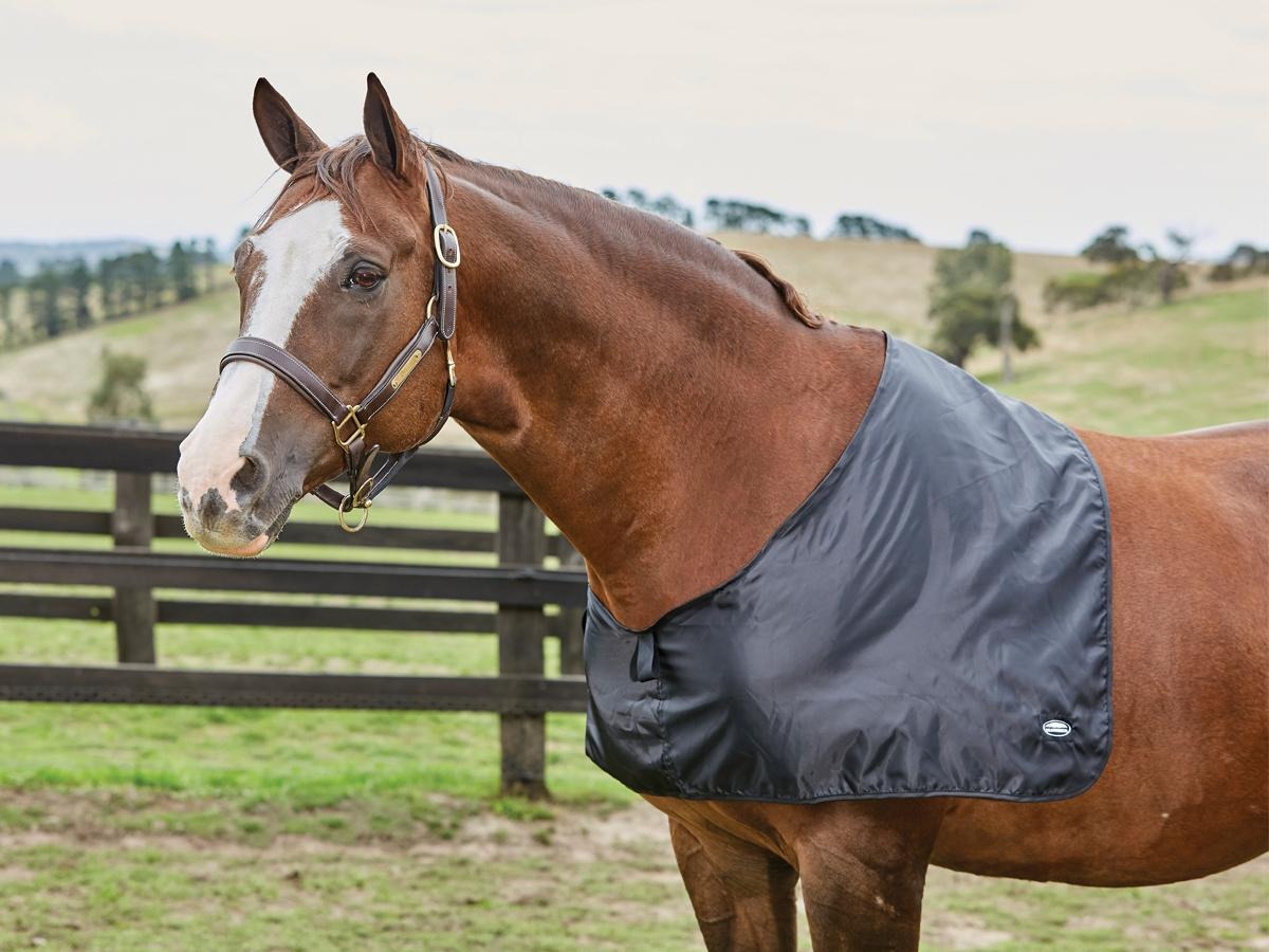 Weatherbeeta Satin Shoulder Guard - Warmblood