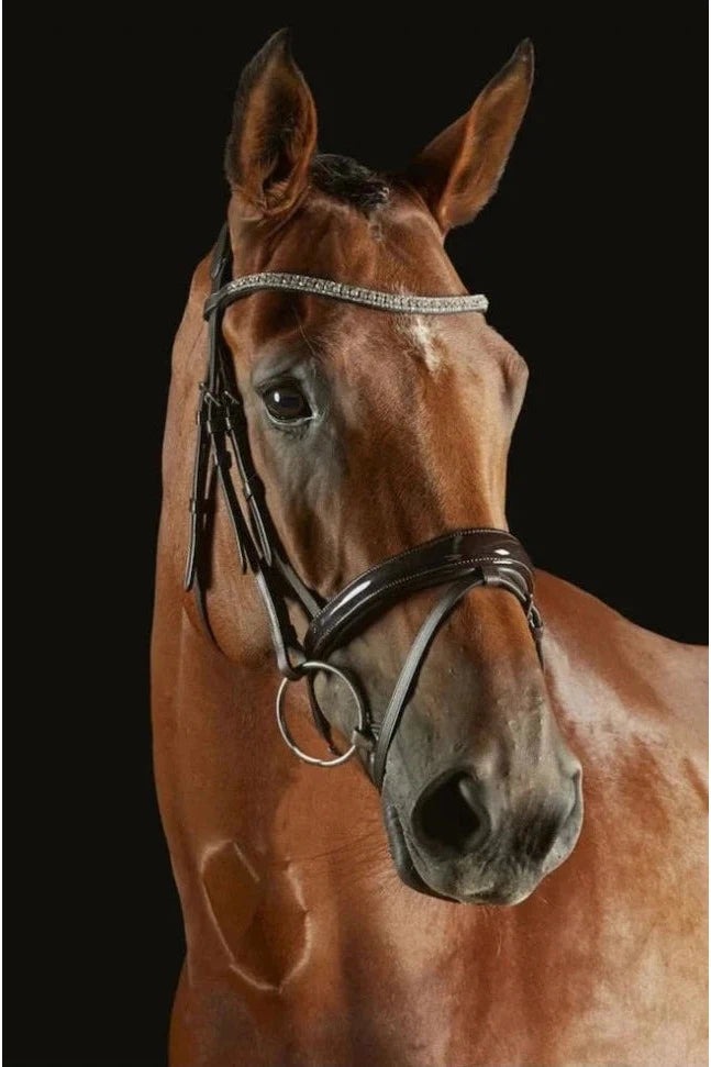 Collegiate Comfitec Luna Bridle Brown Cob