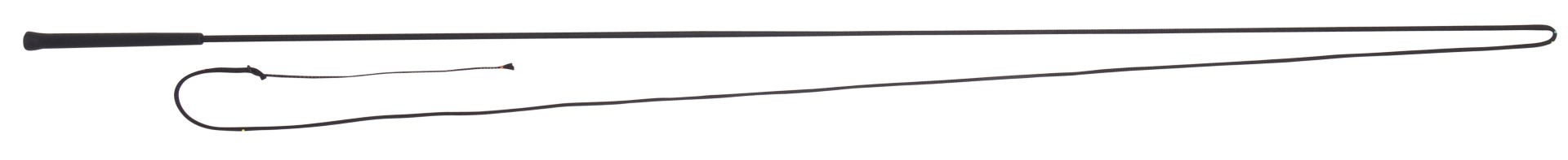 Blue Tag Lunge Whip 180cm - Black