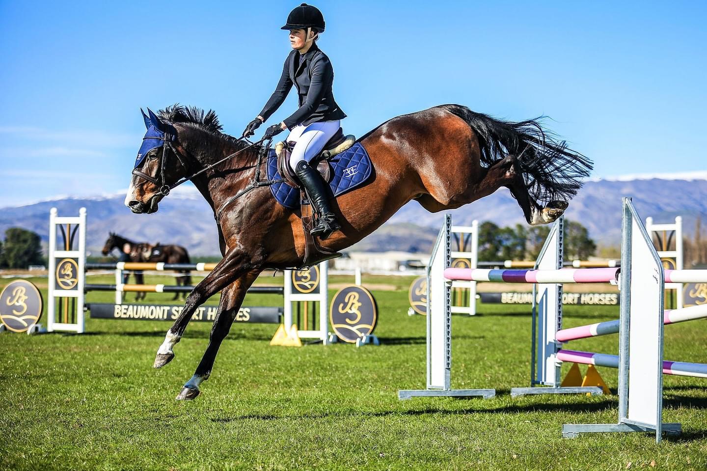 Equus Elite Saddle Pad - Navy