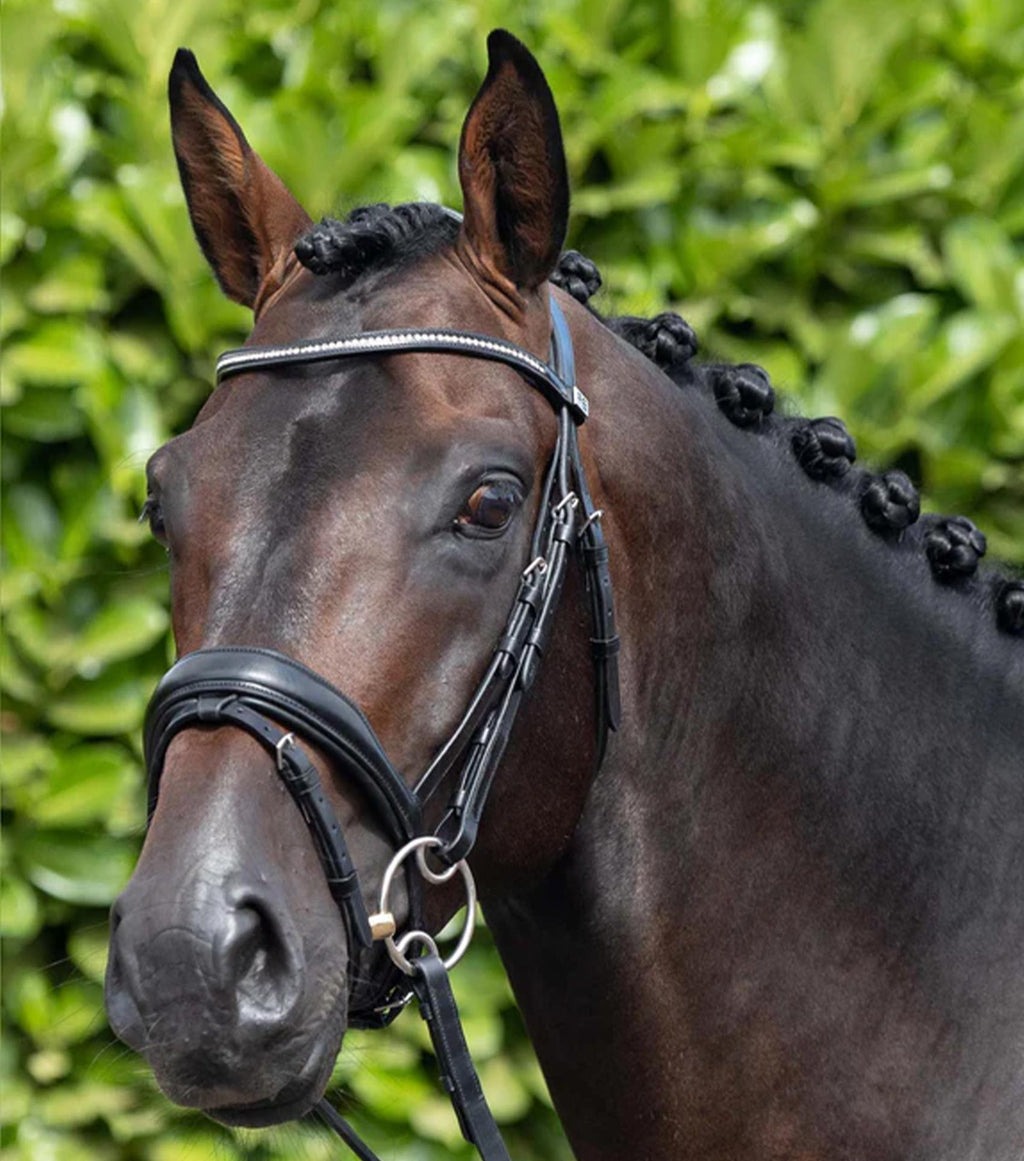 Premier Equine Stellazio Snaffle Bridle Full Black