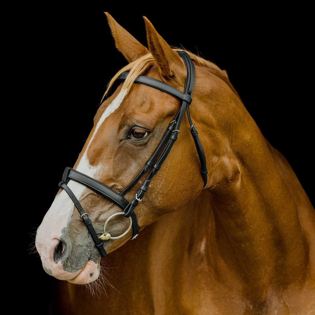 Platinum Padded Flat Hanoverian Bridle Small Pony Black