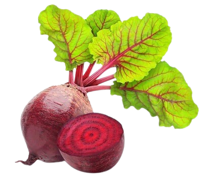 Beetroot