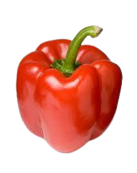 Capsicum GREEN RED