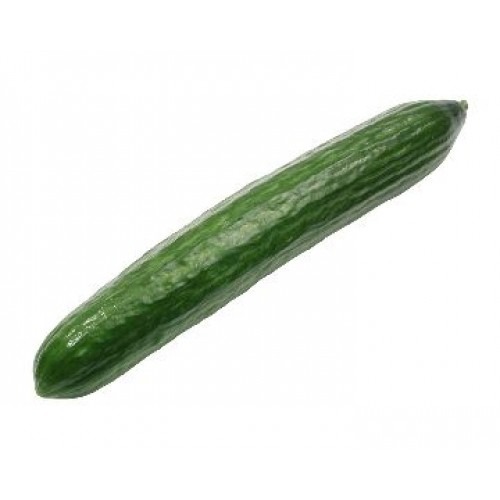 Cucumber