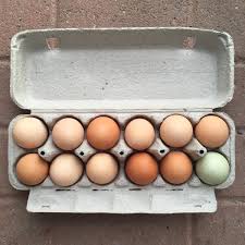 Eggs Dozen