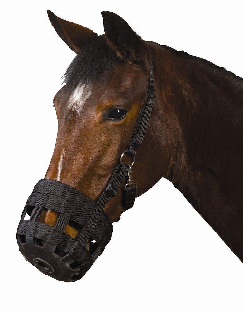 Roma Grazing Muzzle Pony