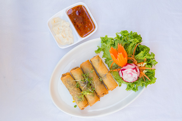 E02.Spring rolls (4)