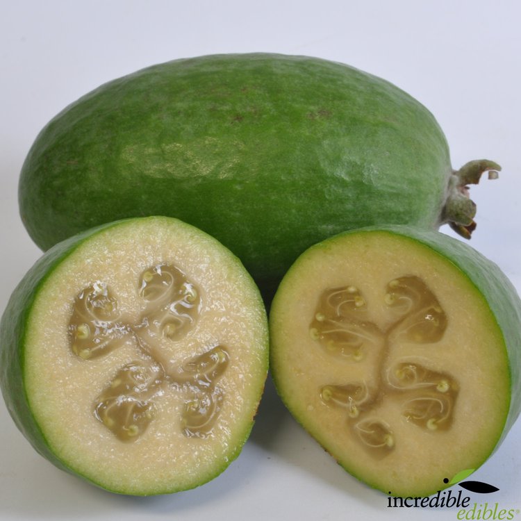Feijoas 450g