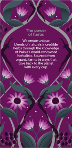 Pukka Night Time Berry Tea