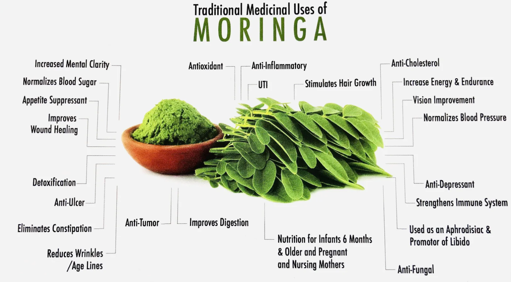 GT Organic Moringa Powder 250g